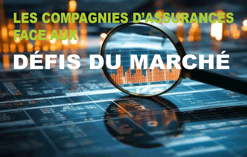 Revue de L’ ASSURANCE N° 51 ( DÉCEMBRE 2025)