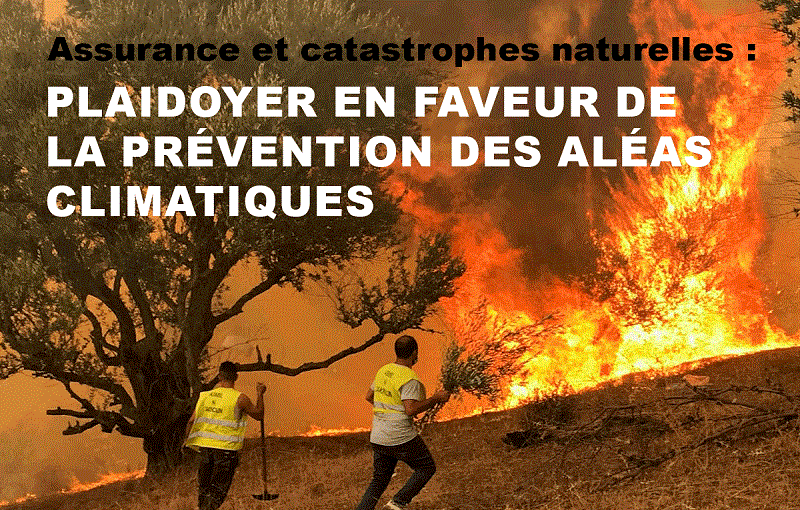 Revue de L&rsquo;ASSURANCE N&deg; 54 (Septembre 2026)